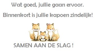 Deze afbeelding is verwijderd. Om veiligheidsredenen zijn alleen afbeeldingen uit het lokale domein toegestaan. Afbeelding verwijderd.